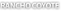 RANCHO COYOTE-  CAVALOS DE APARTAO