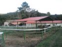 Haras Rancho Coyote