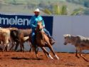 Haras Rancho Coyote