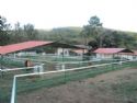 Haras Rancho Coyote