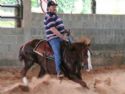 Haras Rancho Coyote
