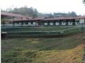 Haras Rancho Coyote