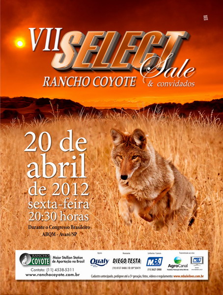 VII SELECT SALE Quarter Horse VII SELECT SALE Quarter Horse